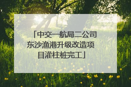 中交一航局二公司东沙渔港升级改造项目灌柱桩完工