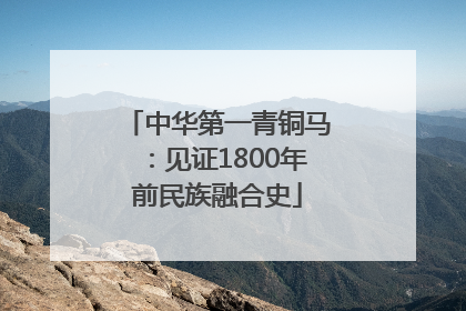 中华第一青铜马：见证1800年前民族融合史