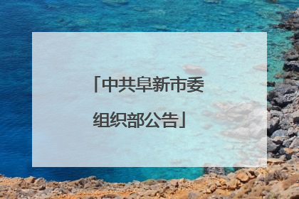 中共阜新市委组织部公告