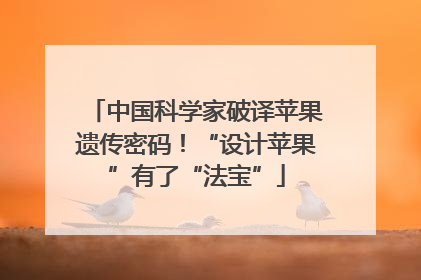 中国科学家破译苹果遗传密码！“设计苹果”有了“法宝”