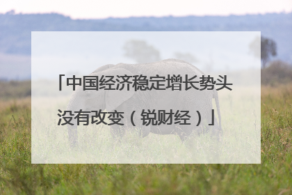 中国经济稳定增长势头没有改变（锐财经）