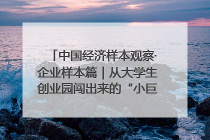 中国经济样本观察·企业样本篇｜从大学生创业园闯出来的“小巨人”——卡诺普机器人的逐梦历程