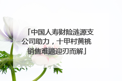 中国人寿财险涟源支公司助力，十甲村黄桃销售难题迎刃而解