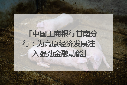 中国工商银行甘南分行：为高原经济发展注入强劲金融动能