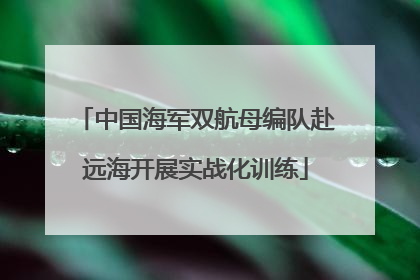 中国海军双航母编队赴远海开展实战化训练