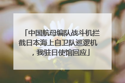 中国航母编队战斗机拦截日本海上自卫队巡逻机，我驻日使馆回应