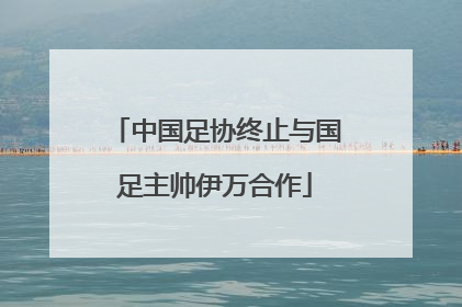 中国足协终止与国足主帅伊万合作