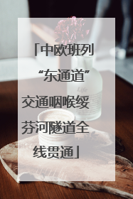 中欧班列“东通道”交通咽喉绥芬河隧道全线贯通