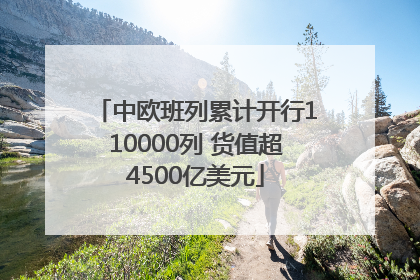 中欧班列累计开行110000列 货值超4500亿美元
