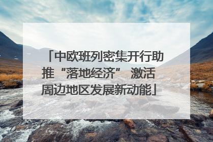中欧班列密集开行助推“落地经济” 激活周边地区发展新动能