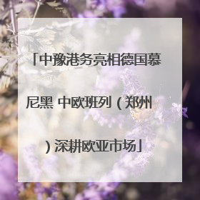 中豫港务亮相德国慕尼黑 中欧班列（郑州）深耕欧亚市场