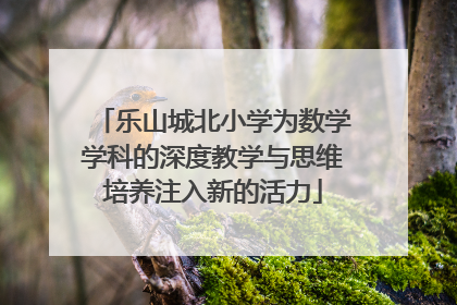 乐山城北小学为数学学科的深度教学与思维培养注入新的活力