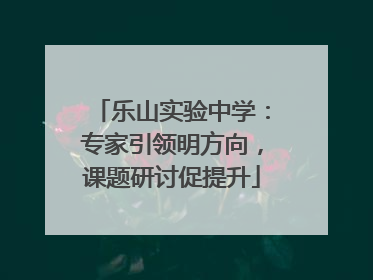 乐山实验中学：专家引领明方向，课题研讨促提升