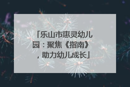 乐山市惠灵幼儿园：聚焦《指南》，助力幼儿成长
