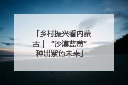 乡村振兴看内蒙古｜“沙漠蓝莓”种出紫色未来