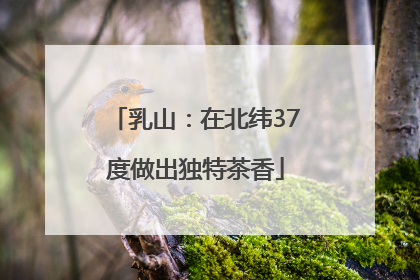乳山：在北纬37度做出独特茶香