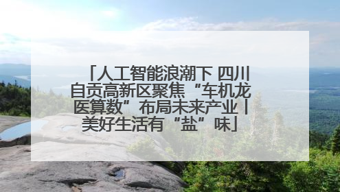 人工智能浪潮下 四川自贡高新区聚焦“车机龙医算数”布局未来产业丨美好生活有“盐”味