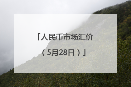 人民币市场汇价（5月28日）