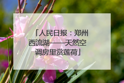 人民日报：郑州西流湖——天然空调房里赏莲荷