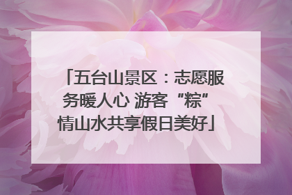五台山景区：志愿服务暖人心 游客“粽”情山水共享假日美好