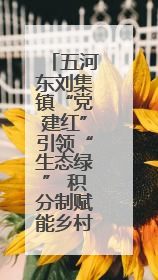 五河东刘集镇“党建红”引领“生态绿” 积分制赋能乡村治理