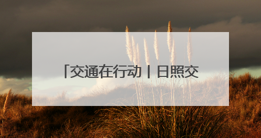 交通在行动丨日照交通执法“粽”在岗