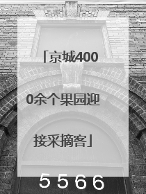 京城4000余个果园迎接采摘客