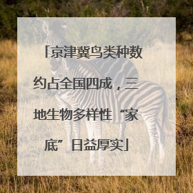 京津冀鸟类种数约占全国四成，三地生物多样性“家底”日益厚实