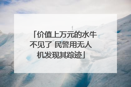 价值上万元的水牛不见了 民警用无人机发现其踪迹