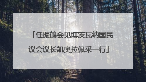 任振鹤会见博茨瓦纳国民议会议长凯奥拉佩采一行