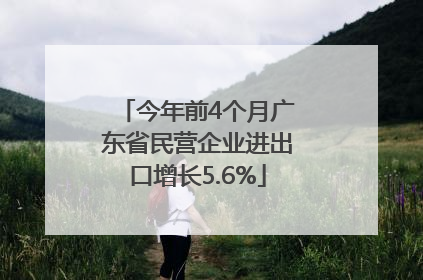 今年前4个月广东省民营企业进出口增长5.6%