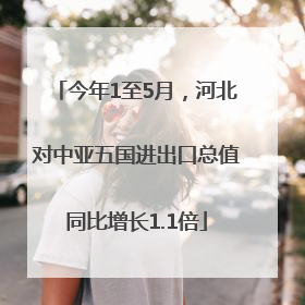 今年1至5月，河北对中亚五国进出口总值同比增长1.1倍