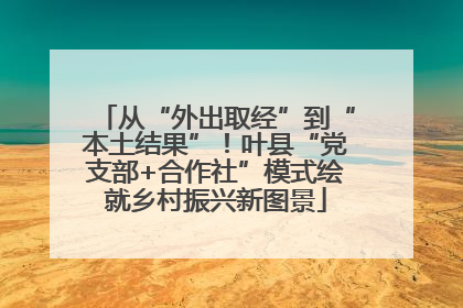 从“外出取经”到“本土结果”！叶县“党支部+合作社”模式绘就乡村振兴新图景