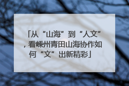 从“山海”到“人文”，看嵊州青田山海协作如何“文”出新精彩