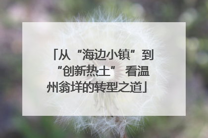 从“海边小镇”到“创新热土” 看温州翁垟的转型之道
