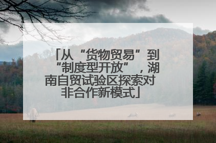 从“货物贸易”到“制度型开放”，湖南自贸试验区探索对非合作新模式