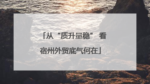 从“质升量稳” 看宿州外贸底气何在