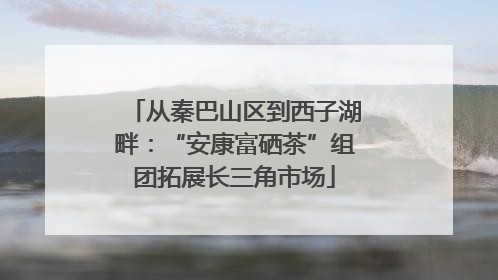 从秦巴山区到西子湖畔：“安康富硒茶”组团拓展长三角市场