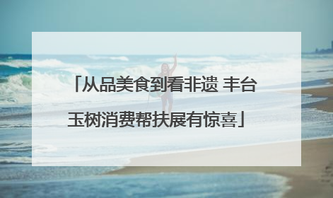 从品美食到看非遗 丰台玉树消费帮扶展有惊喜