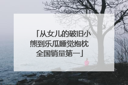 从女儿的破旧小熊到乐瓜睡觉抱枕全国销量第一