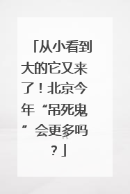 从小看到大的它又来了！北京今年“吊死鬼”会更多吗？