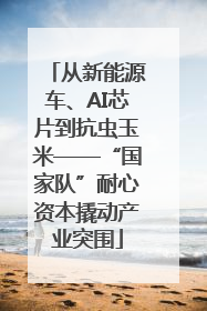 从新能源车、AI芯片到抗虫玉米——“国家队”耐心资本撬动产业突围