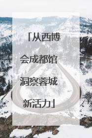 从西博会成都馆洞察蓉城新活力