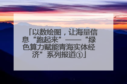 以数绘图，让海量信息“跑起来”——“绿色算力赋能青海实体经济”系列报道①