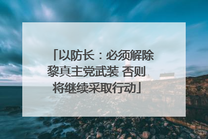以防长：必须解除黎真主党武装 否则将继续采取行动