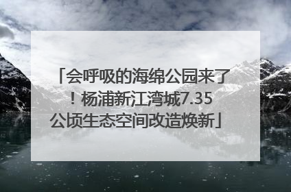 会呼吸的海绵公园来了！杨浦新江湾城7.35公顷生态空间改造焕新