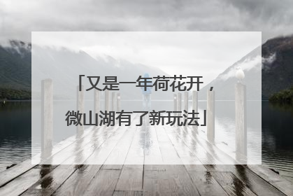 又是一年荷花开，微山湖有了新玩法