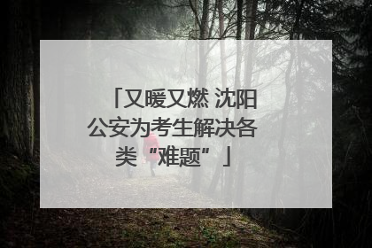 又暖又燃 沈阳公安为考生解决各类“难题”