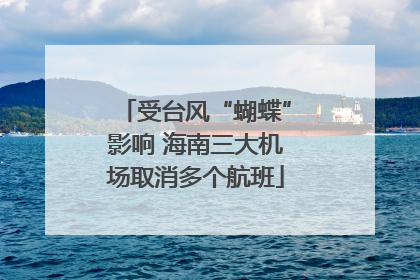 受台风“蝴蝶”影响 海南三大机场取消多个航班