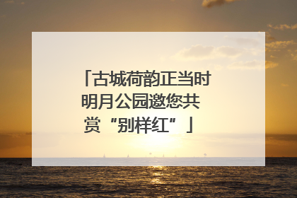 古城荷韵正当时 明月公园邀您共赏“别样红”